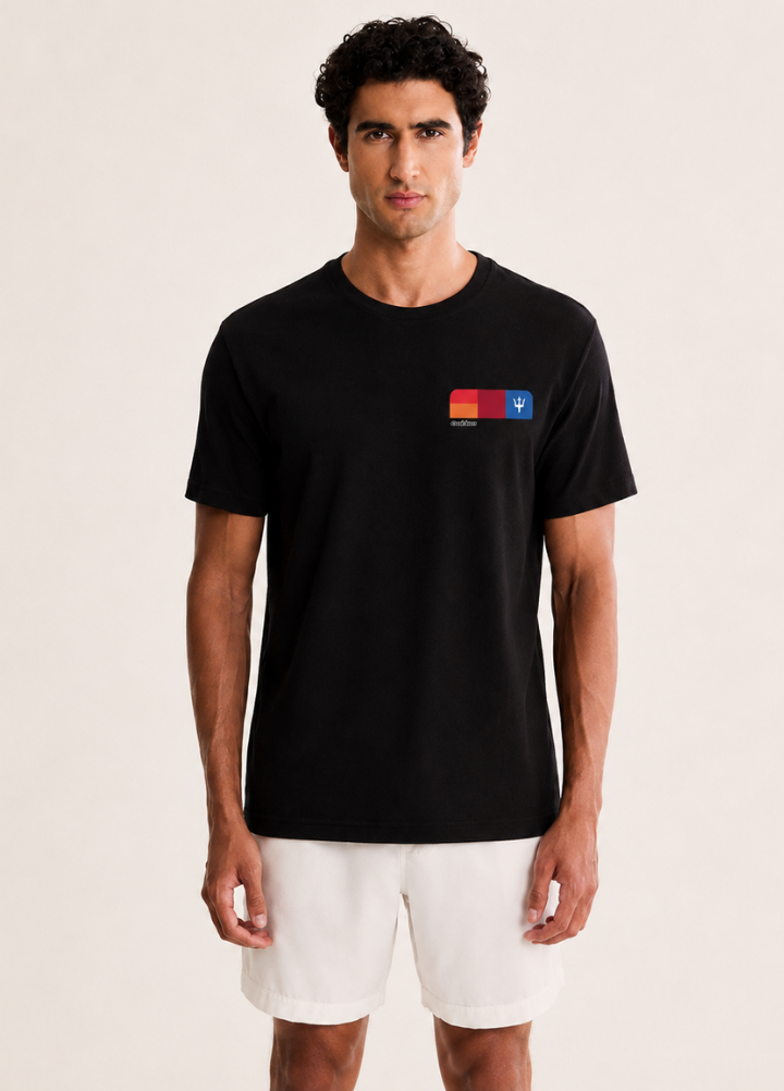 CAMISETA OKSLEN BIG SHIRT COLORBLOCKS