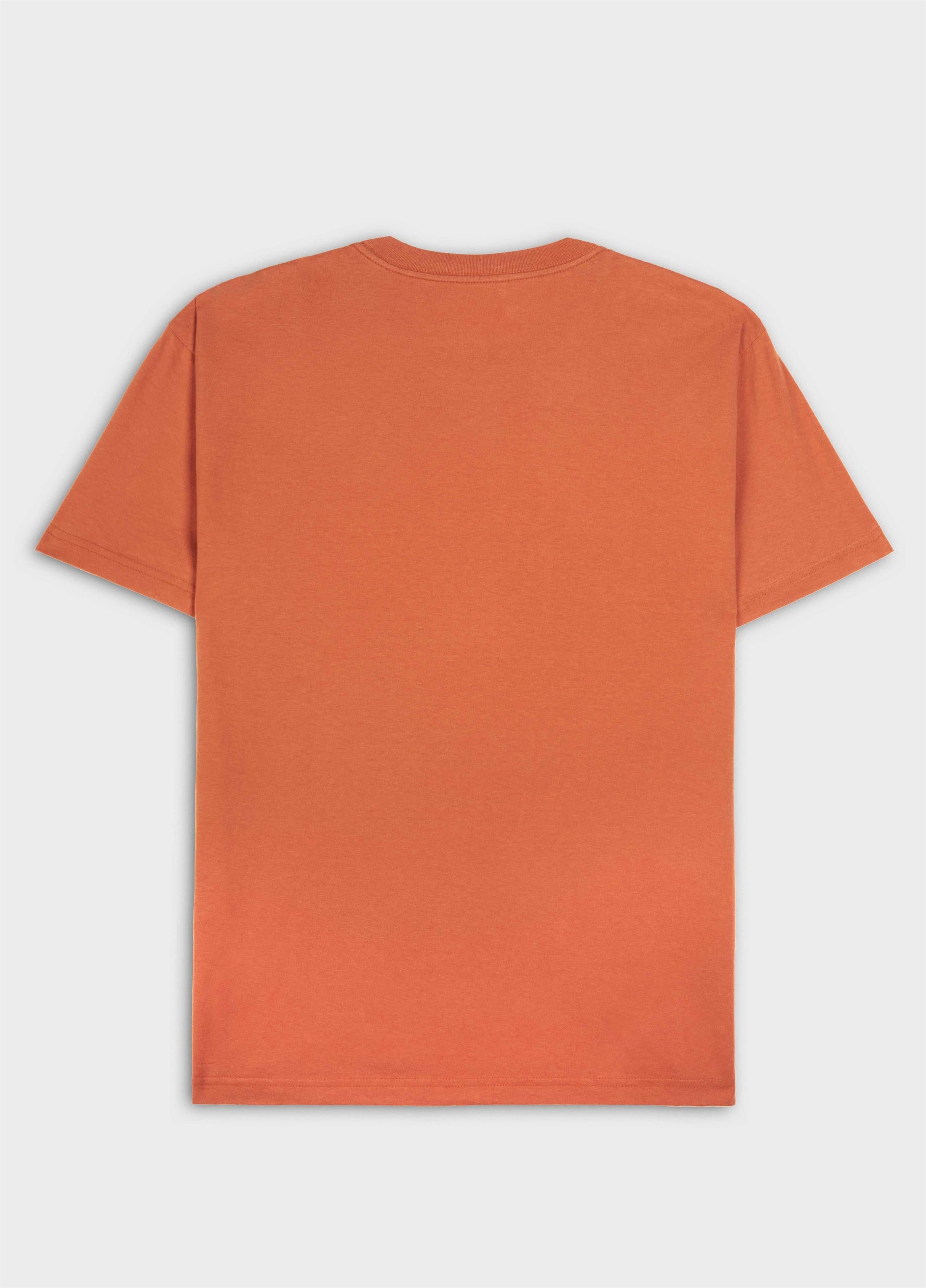 CAMISETA OSKLEN MASCULINA VINTAGE SHORT BOARD