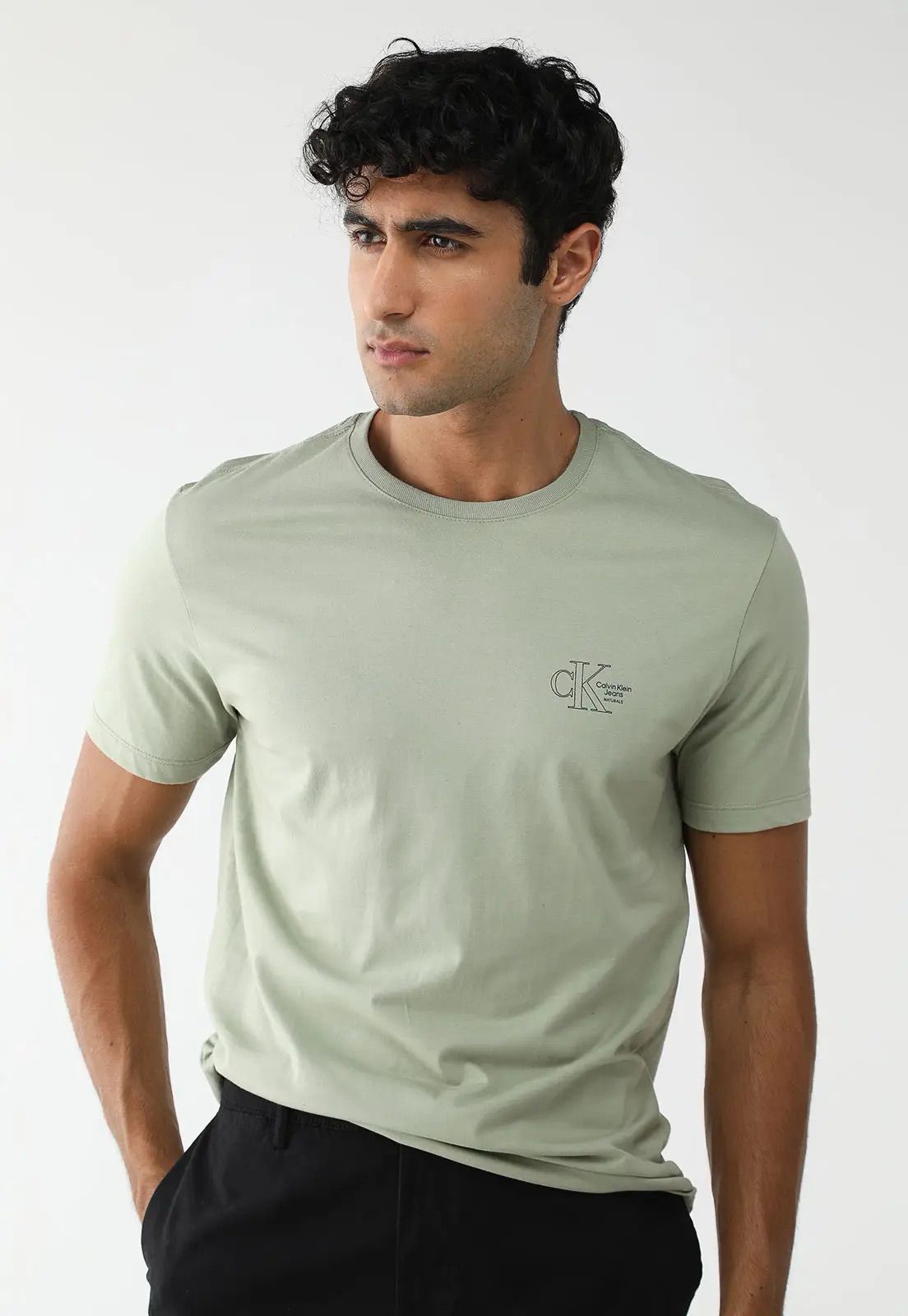 CAMISETA CALVIN KLEIN MASCULINA NATURALS PEITO