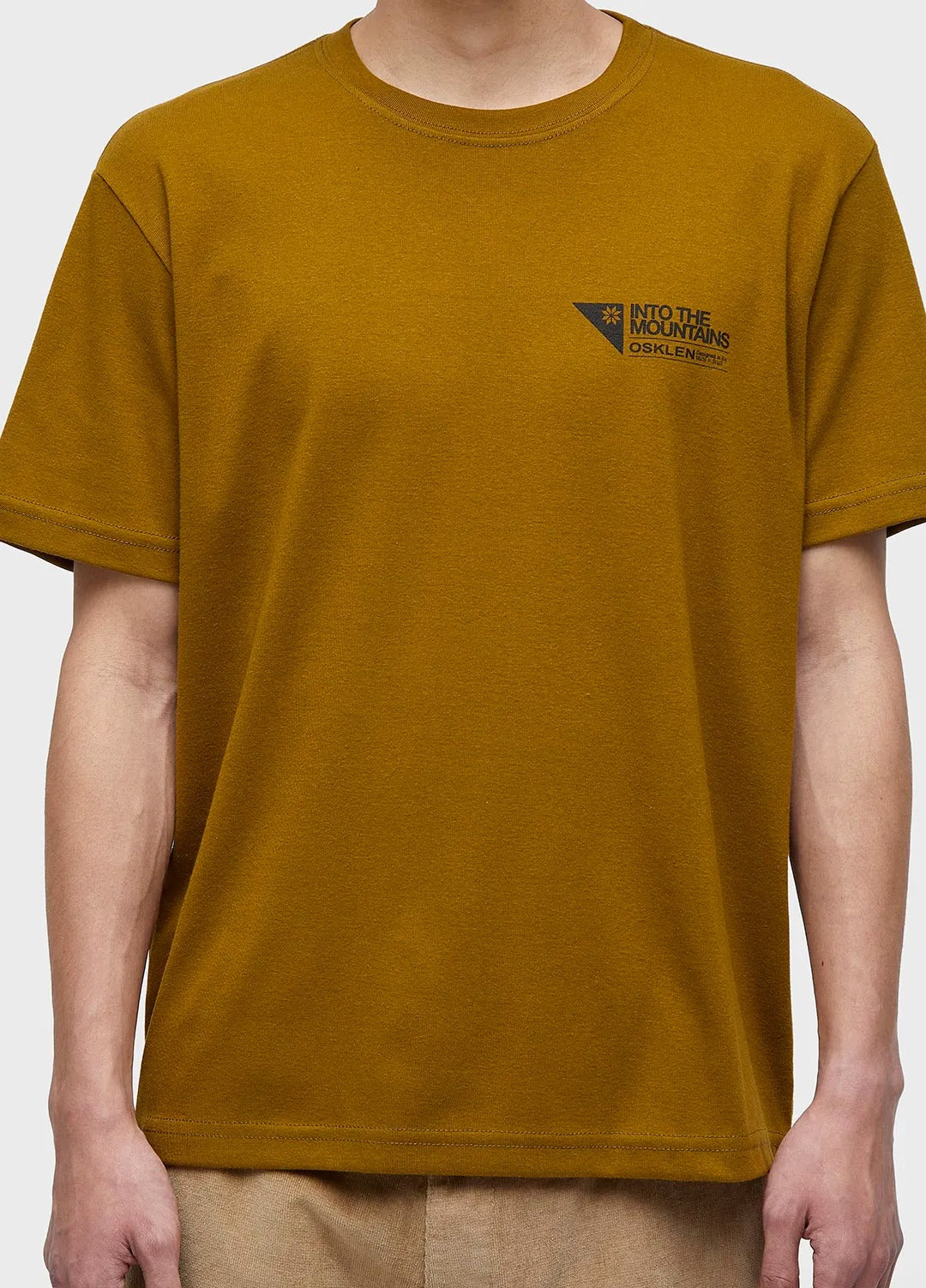 CAMISETA OSKLEN BIG SHIRT CARIMBO ITM